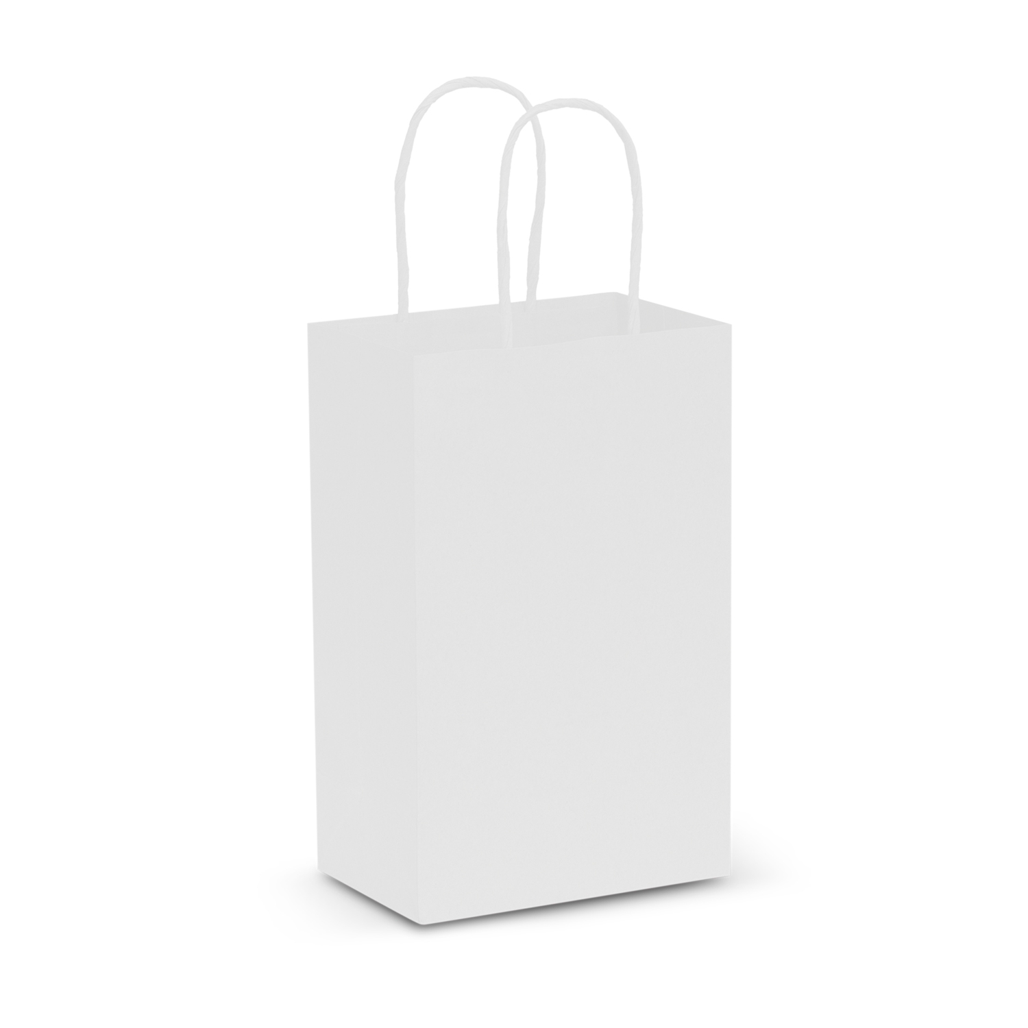 Paper Carry Bag - Small - Image 4