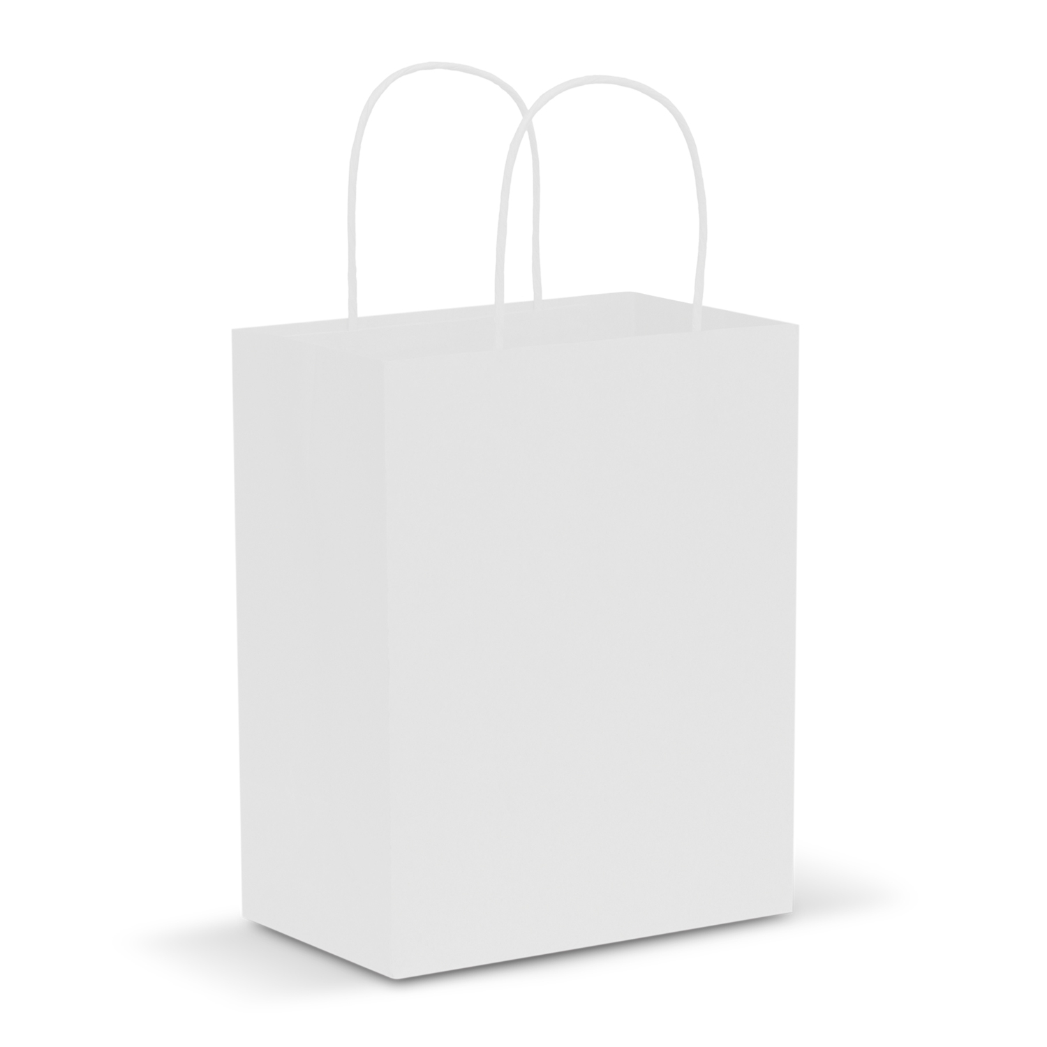 Paper Carry Bag - Medium - Image 4