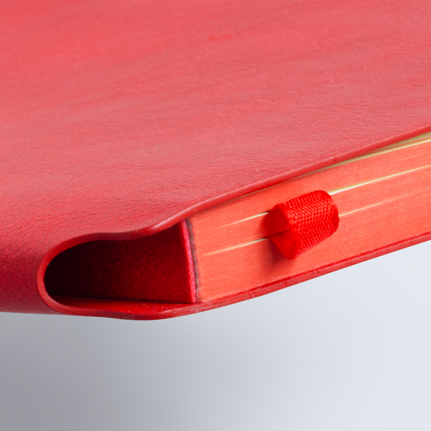 Demio Notebook - Medium - Image 9