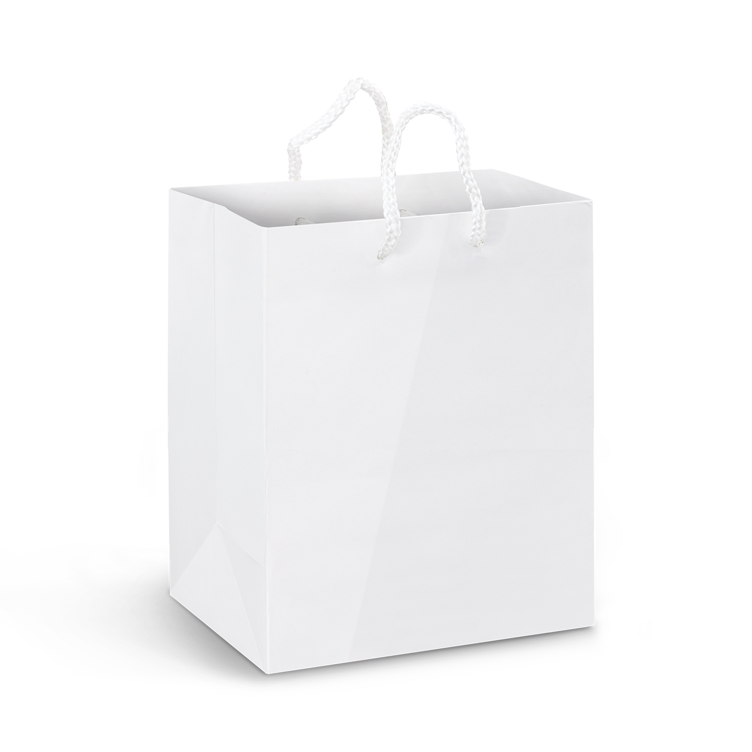 Medium Laminated Paper Carry Bag - Full Colour - Image 2