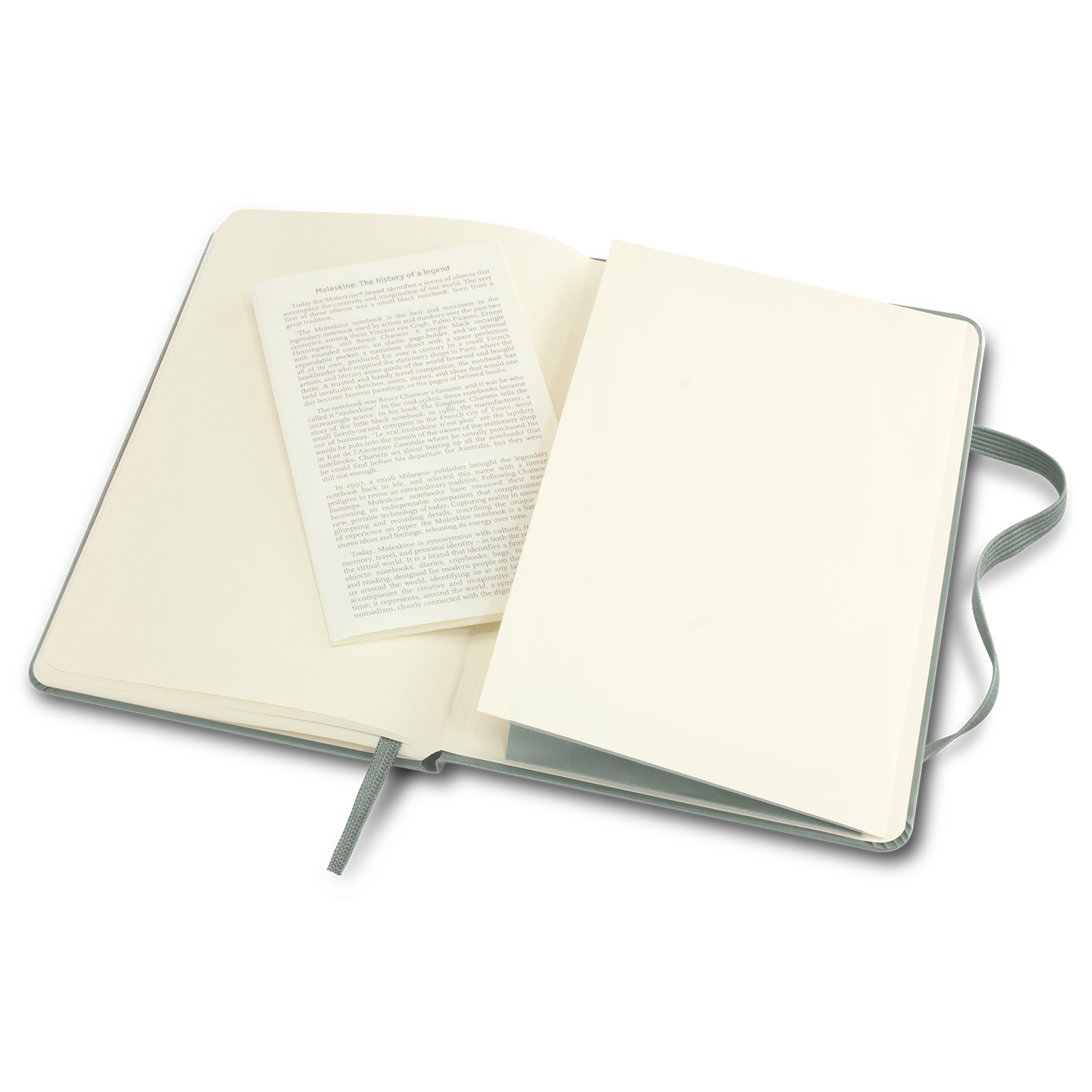 Moleskine Classic Hard Cover Notebook - Medium - Image 11