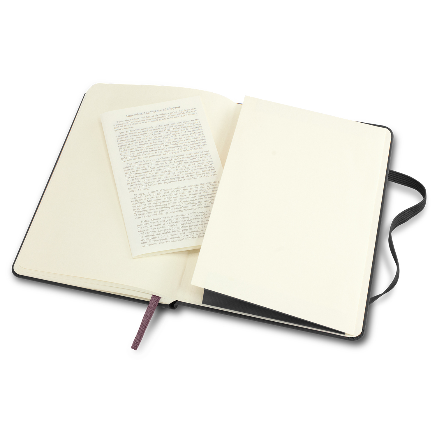 Moleskine Classic Hard Cover Notebook - Medium - Image 13