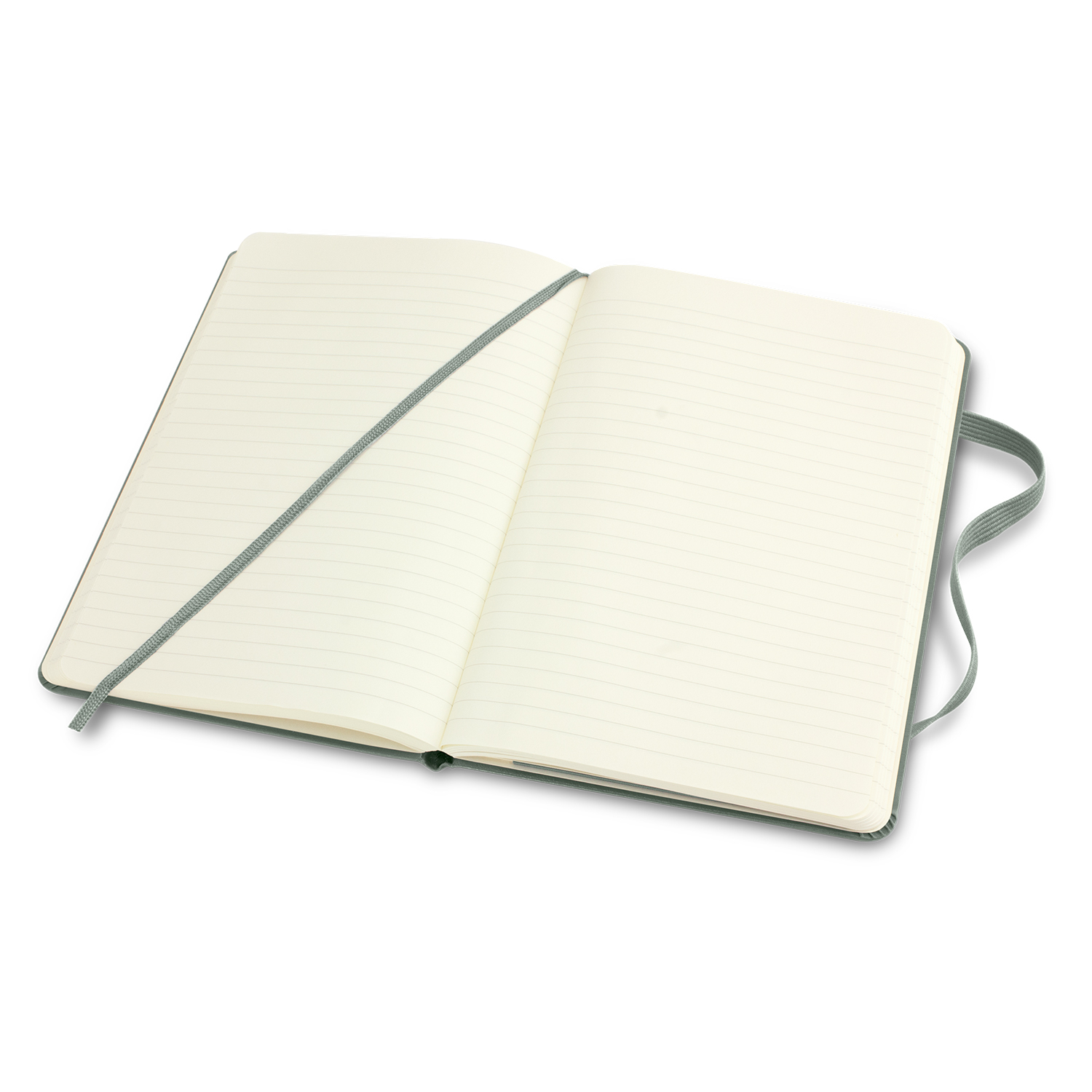 Moleskine Classic Hard Cover Notebook - Medium - Image 8