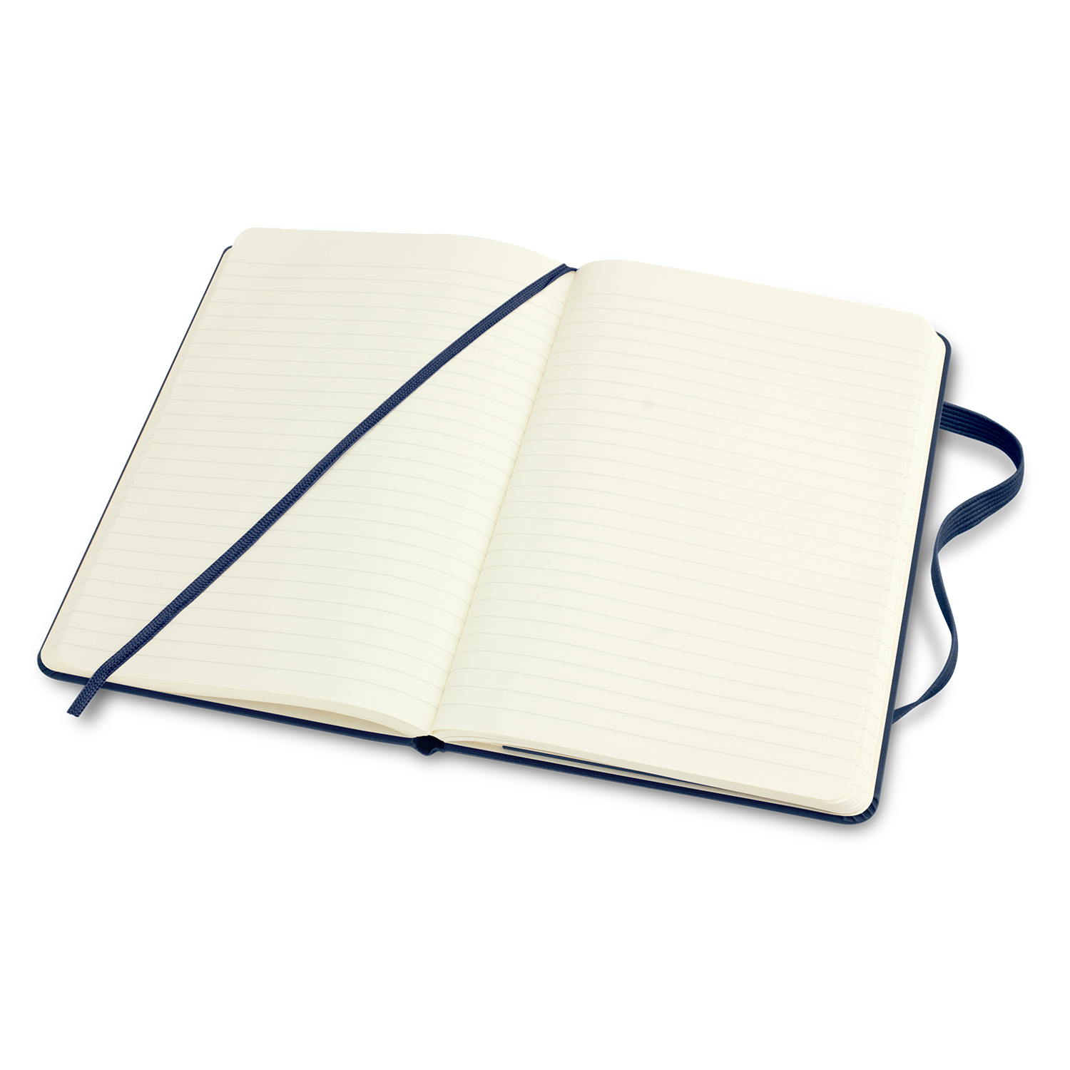 Moleskine Classic Hard Cover Notebook - Medium - Image 9