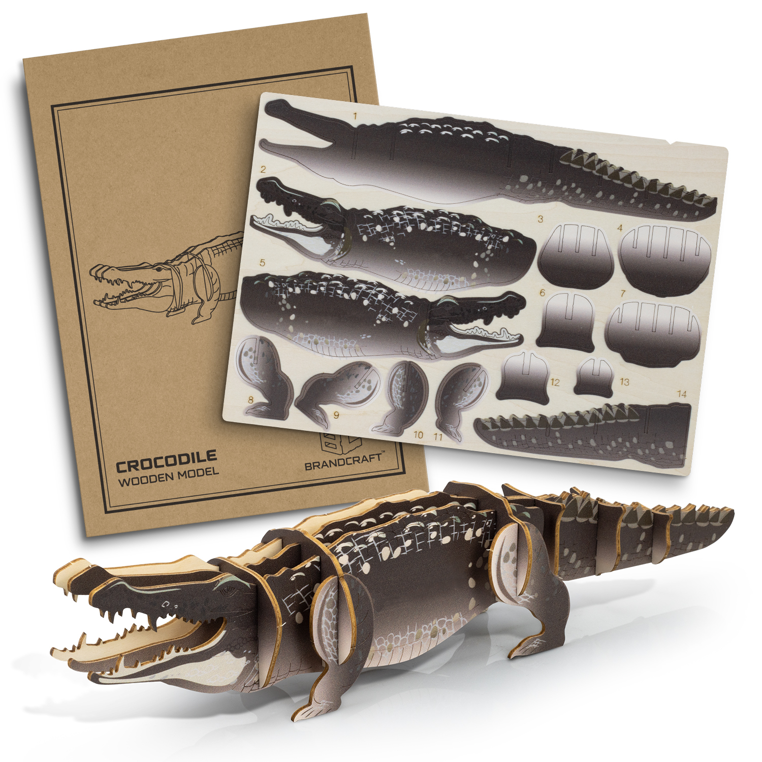 BRANDCRAFT Crocodile Wooden Model - Image 2