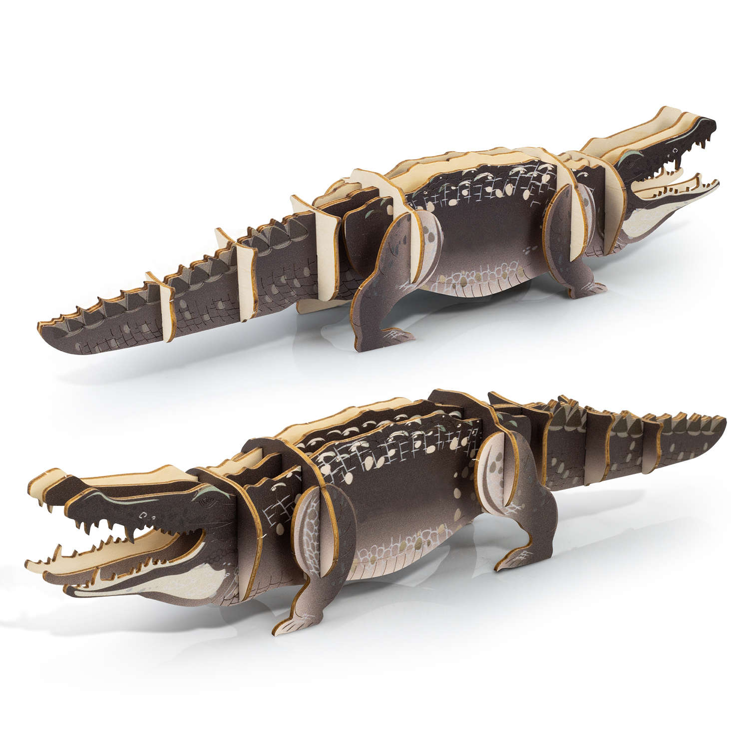 BRANDCRAFT Crocodile Wooden Model - Image 5