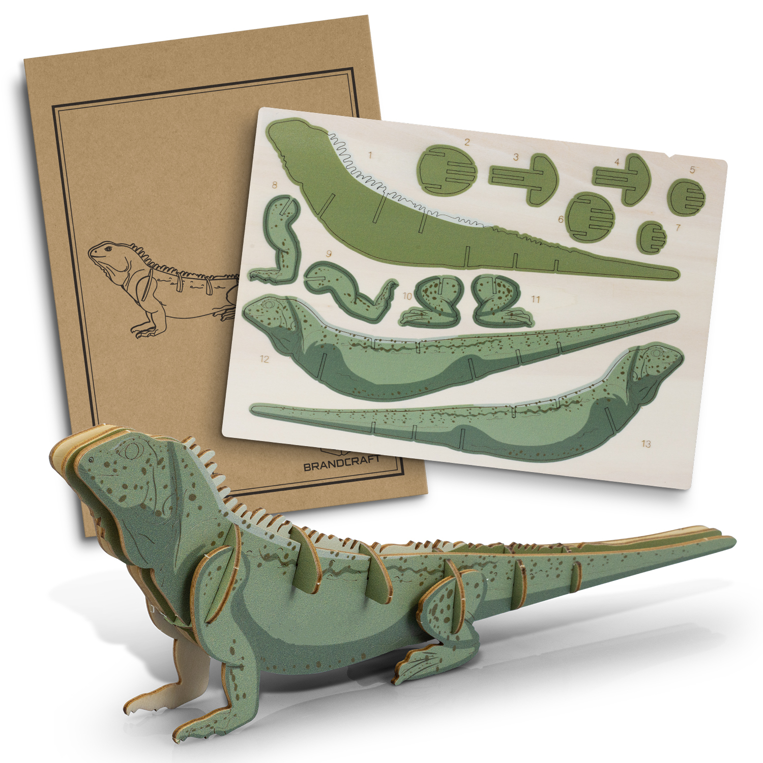 BRANDCRAFT Tuatara Wooden Model - Image 2