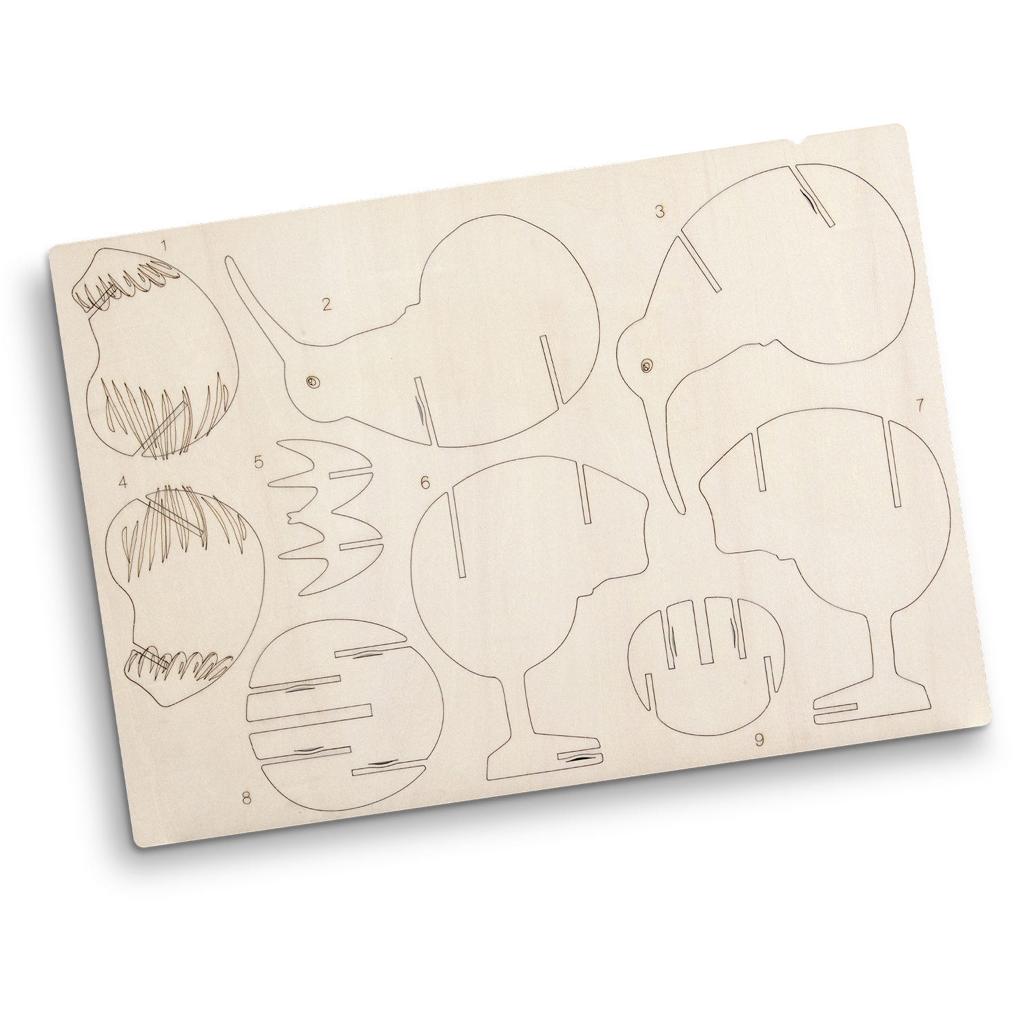 BRANDCRAFT Kiwi Wooden Model - Image 9