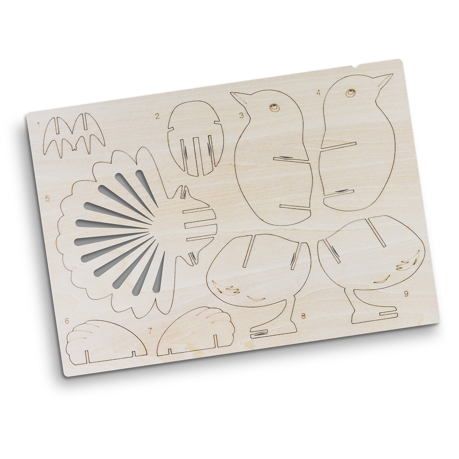 BRANDCRAFT Fantail Wooden Model - Image 4