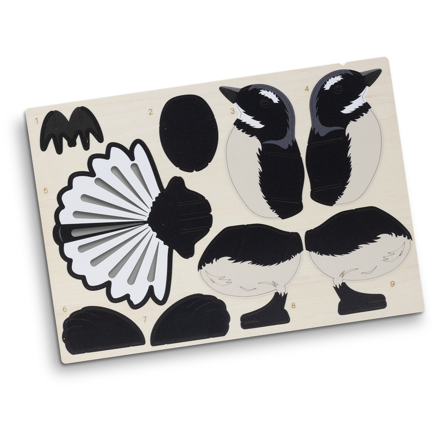 BRANDCRAFT Fantail Wooden Model - Image 6