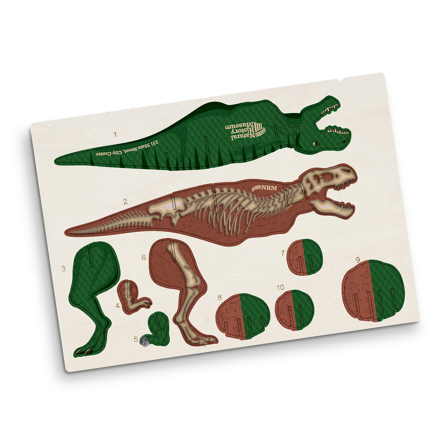 BRANDCRAFT Tyrannosaurus Rex Wooden Model - Image 6