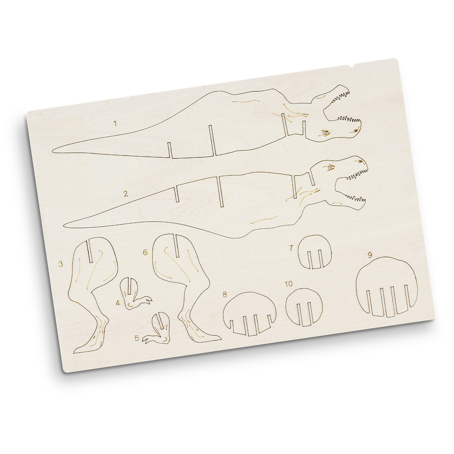 BRANDCRAFT Tyrannosaurus Rex Wooden Model - Image 8