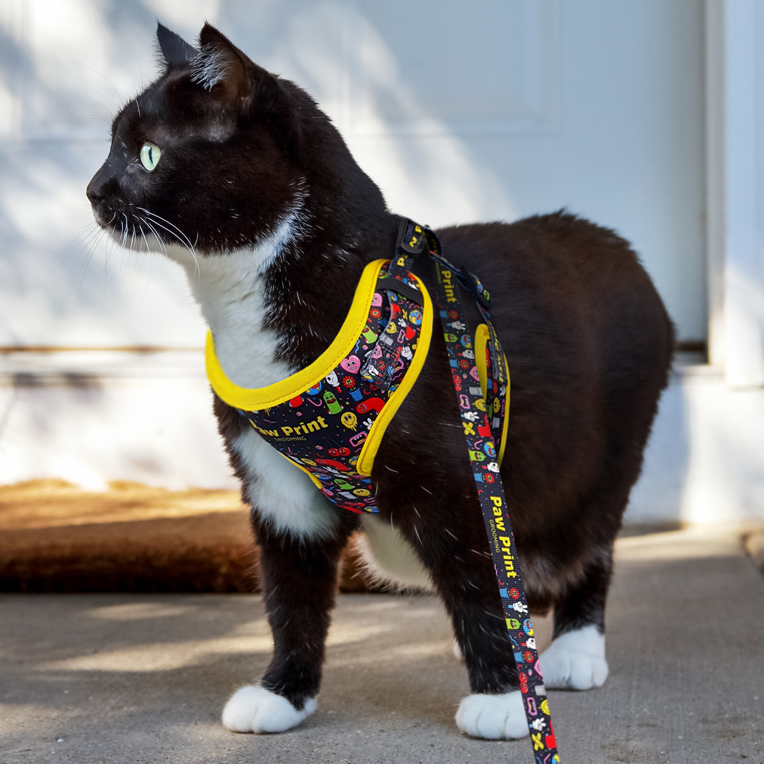 Amigo Pet Harness - Image 7