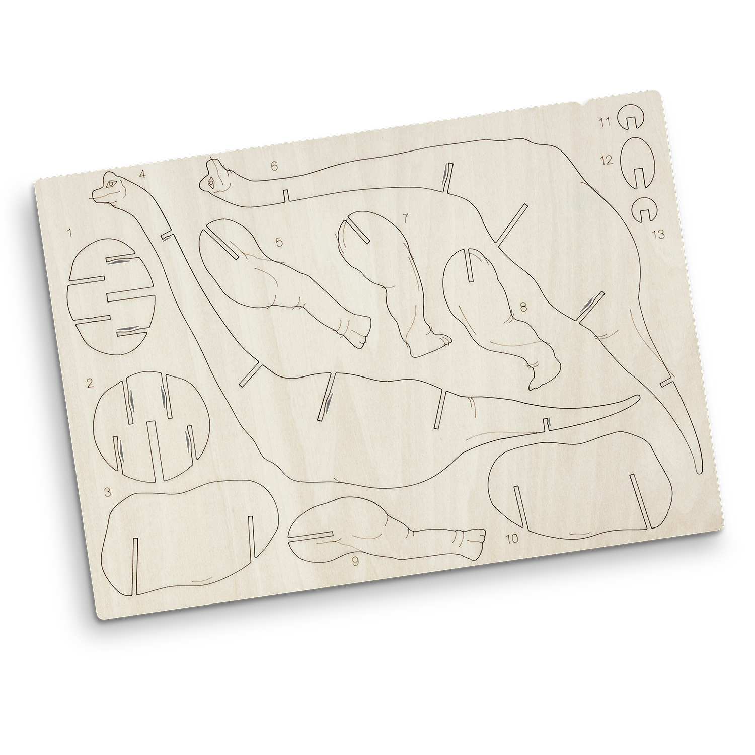 BRANDCRAFT Brachiosaurus Wooden Model - Image 4