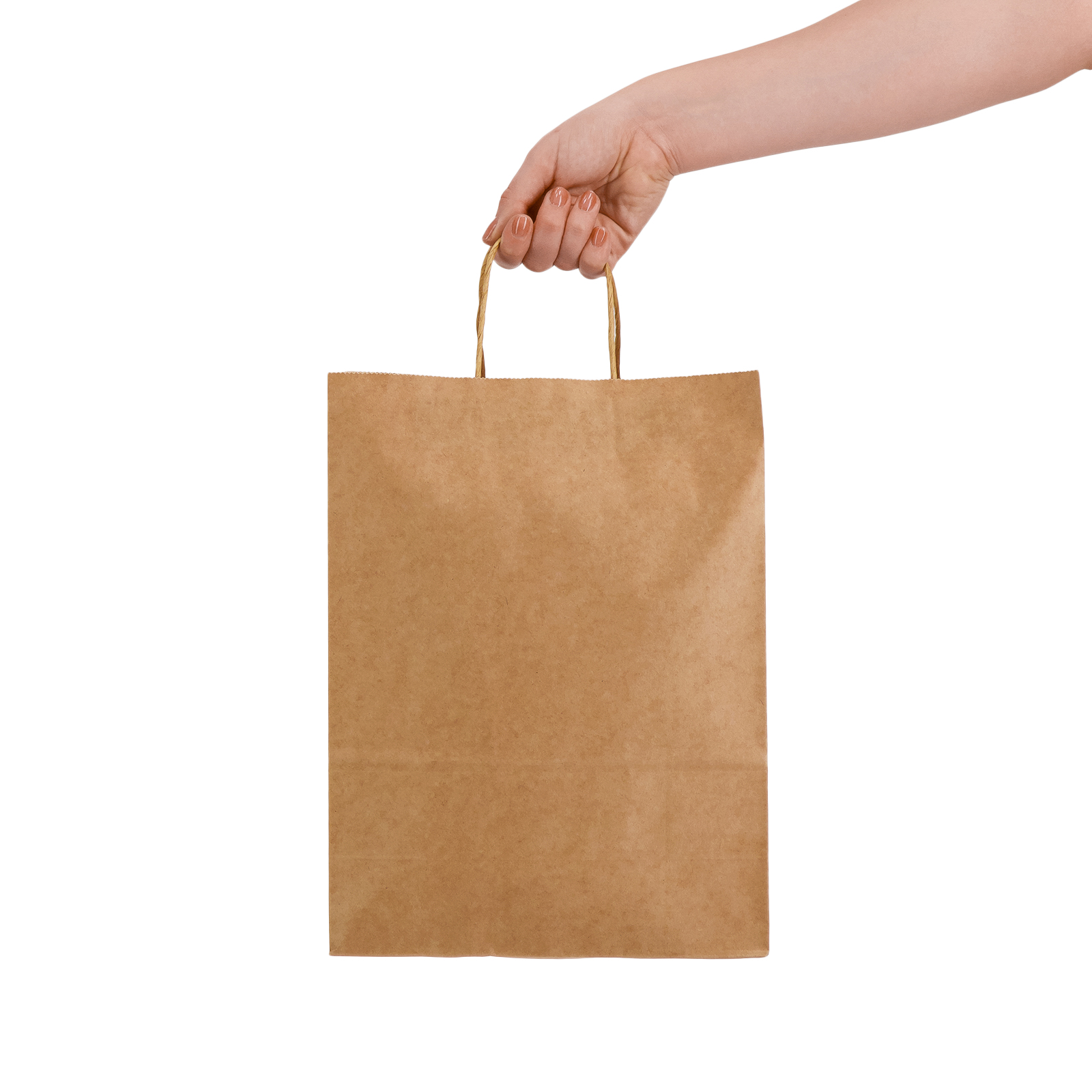 Express Paper Bag Large - Image 7