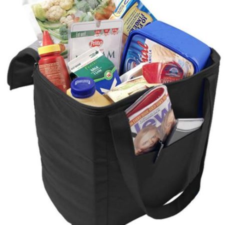 NON-WOVEN COOLER BAG