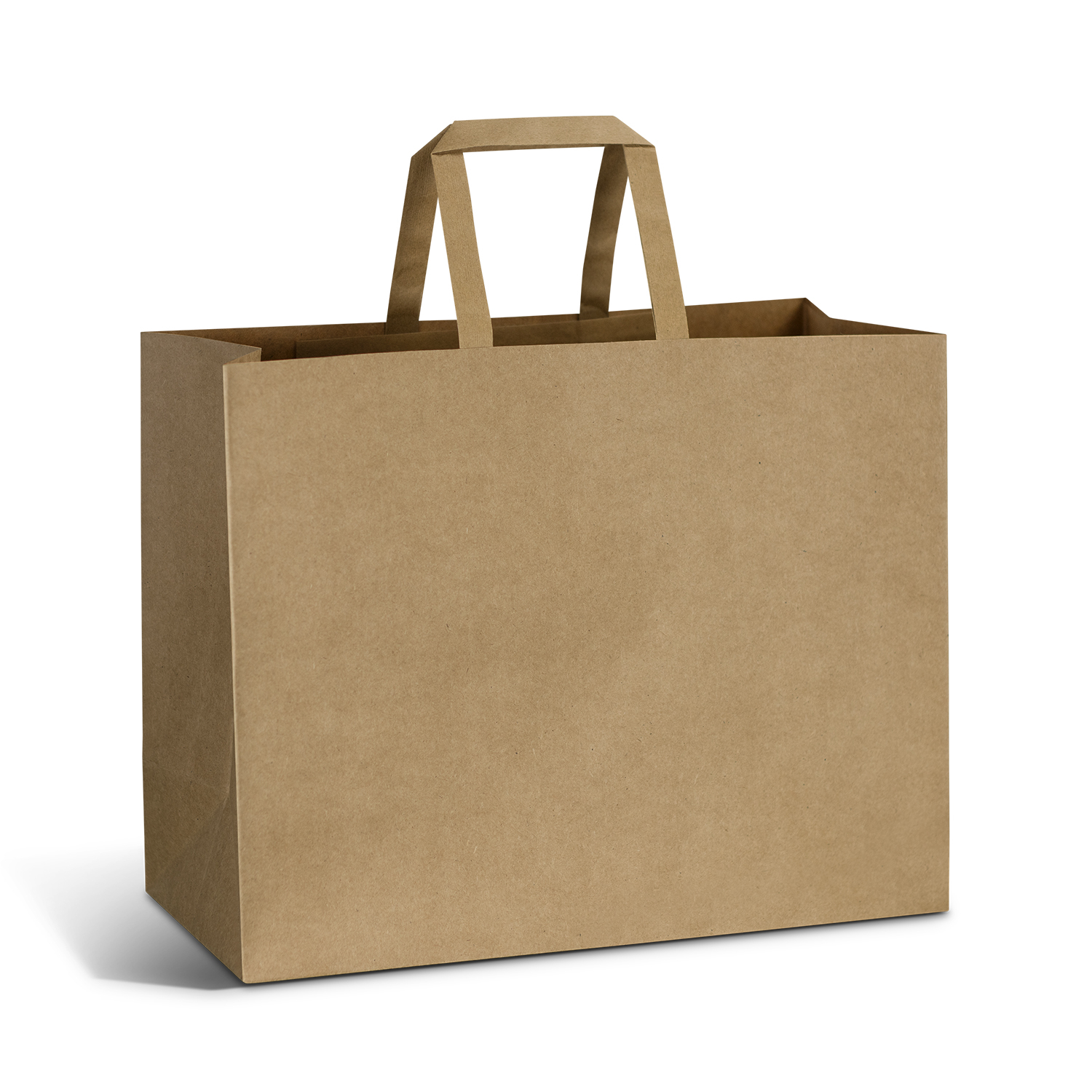 Large Flat Handle Paper Bag Landscape - Image 5