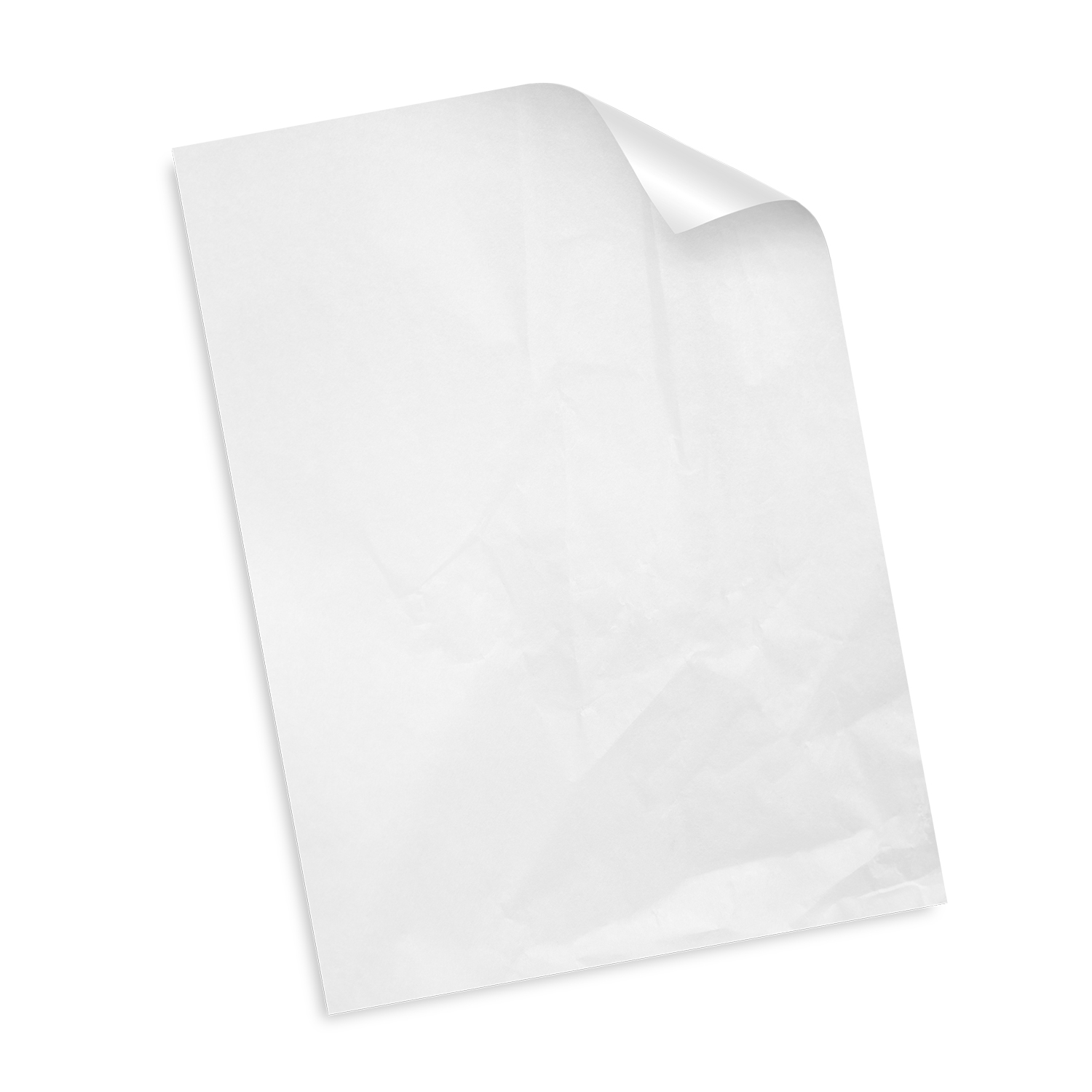 Custom Tissue Paper - Colour - Image 2