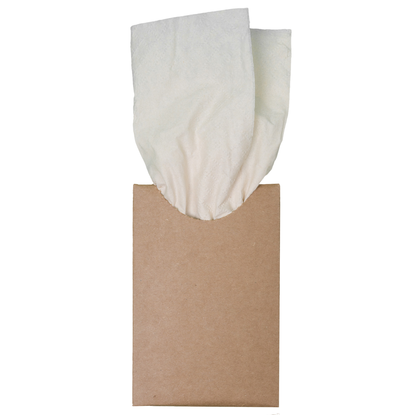 Bamboo Tissues - Image 5
